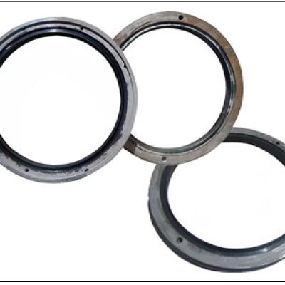 Seal Inner